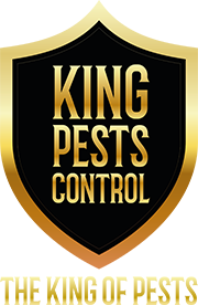 King Pests Control