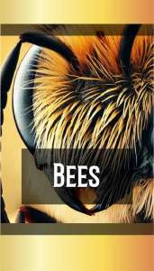 BEES-2