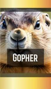 GOPHER