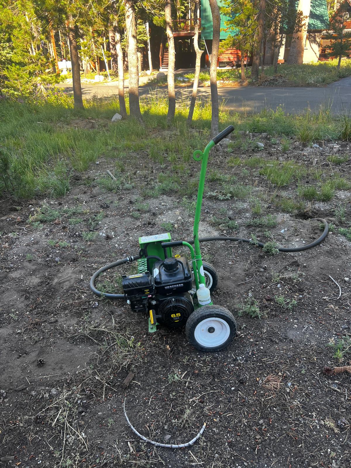 Gophers Treatment